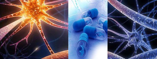 supplements for motivation and energy