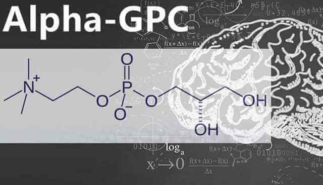 alpha gpc reviewed