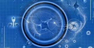 Cholinergic supplement for memory